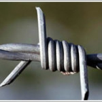 barbed (1)