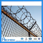 barbed wire  (7)